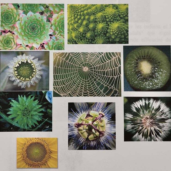 Stages,cours La nature un Mandala