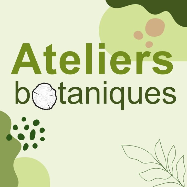 Stages,cours Atelier botanique Les micro-habitants arbres