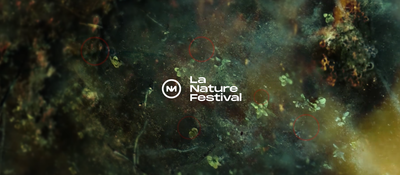 Concerts La Nature Festival