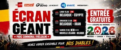 Soirées Venez vibrer ensemble pour Diables écran géant