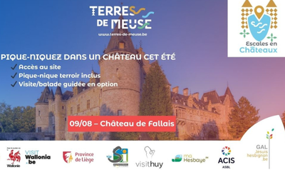 Loisirs Escales châteaux : Château Fallais