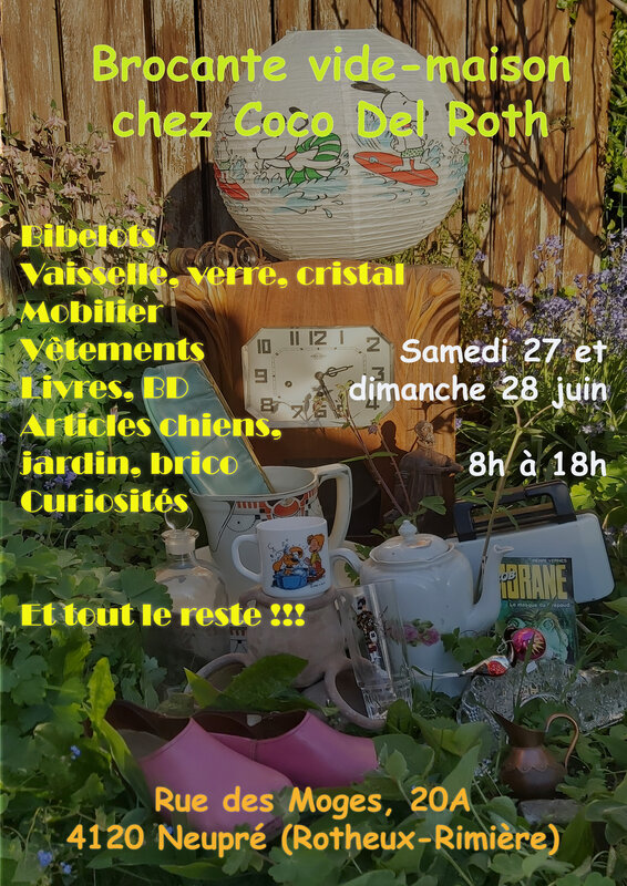  Brocante vide-maison Neupré (Rotheux centre)