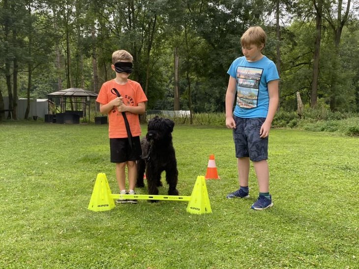 Stages,cours Stage enfants chiens congé mois d août