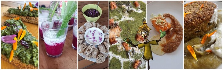 Stages,cours La découverte la cuisine sauvage