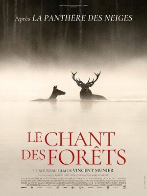 Spectacles Seniors the Movies - Chant Forêts