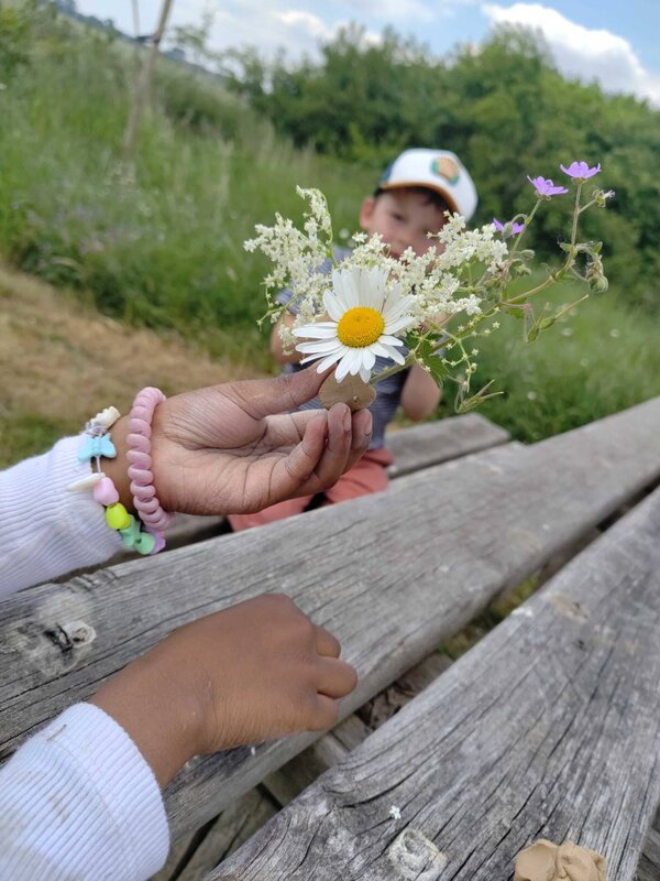 Stages,cours Stage nature la réserve naturelle Frasnes bassins