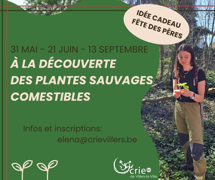Loisirs Balade Plantes Sauvages Comestibles