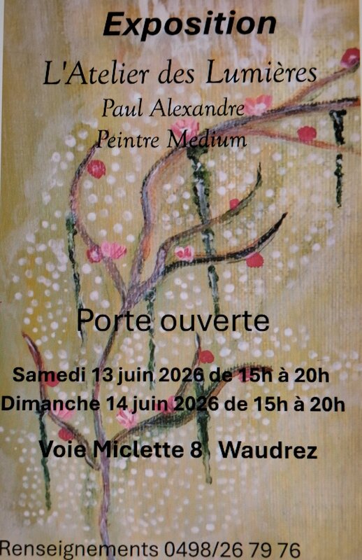 Expositions Paul Alexandre Peintre medium