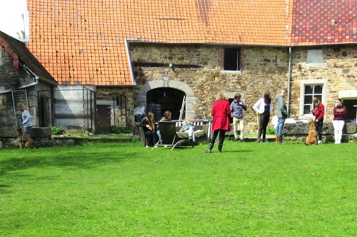 Stages,cours Stage - chien durant grandes vacances mois d août