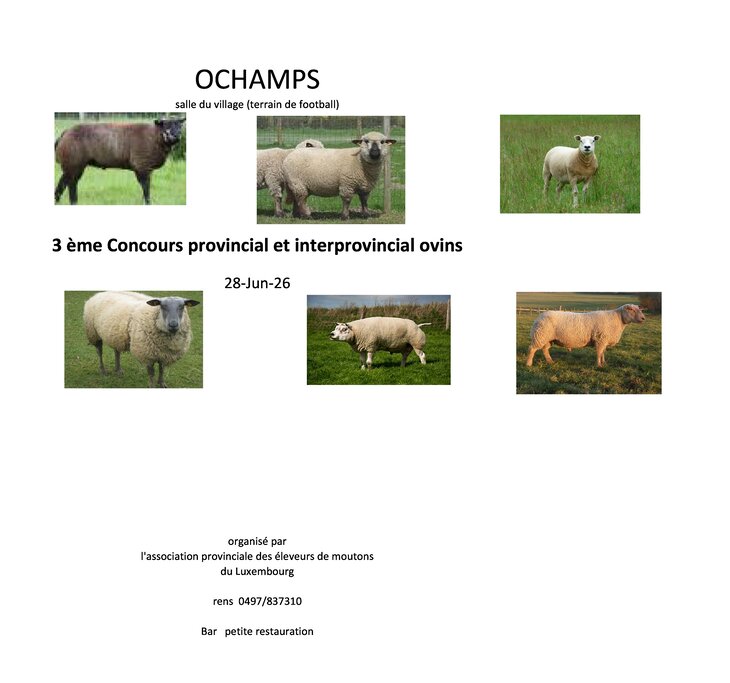 Loisirs Concours interprovinciaux mouton