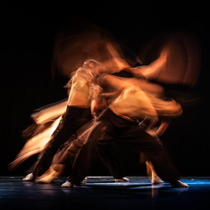 Spectacles TanzArt