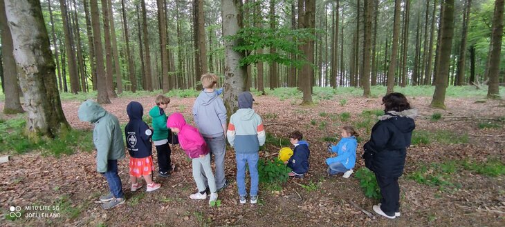 Stages,cours Formation animation un atelier bien-être forêt pour enfants