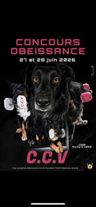 Loisirs Concours d Obéissance canin