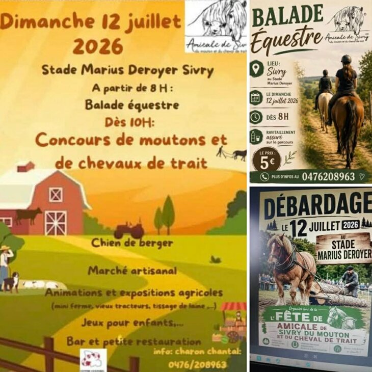 Loisirs Fête mouton du cheval trait