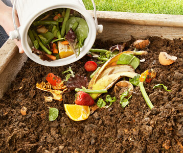 Stages,cours Formation compostage