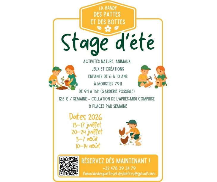 Stages,cours Stage d été