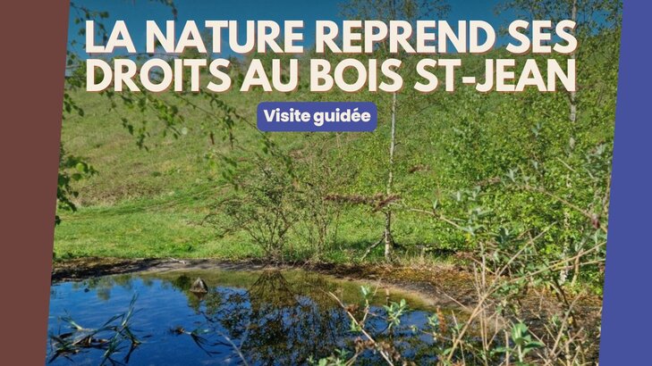 Loisirs La nature reprend droits Bois Saint-Jean