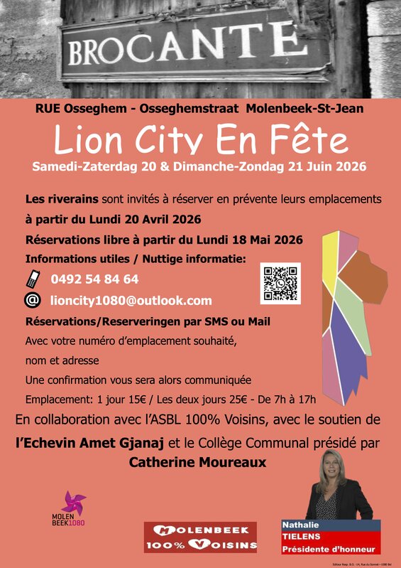  Brocante Quartier Lion City