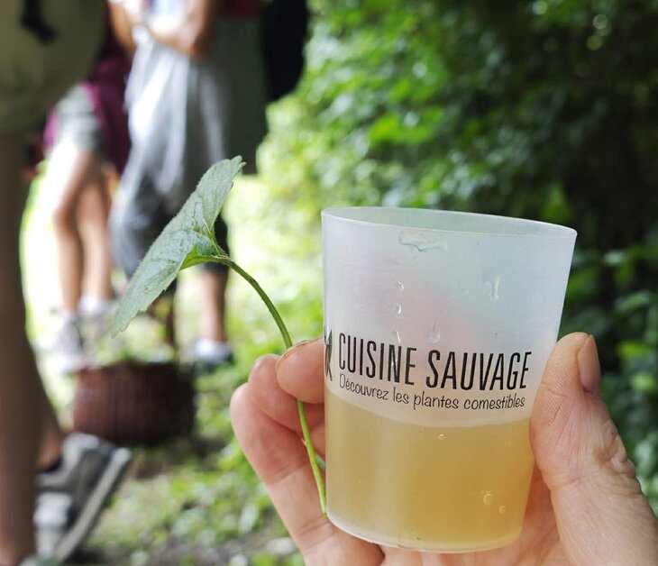 Loisirs Balade plantes sauvages comestibles l asbl Cuisine Sauvage