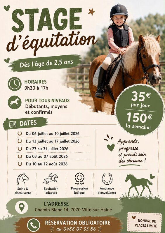 Stages,cours Stages d équitation