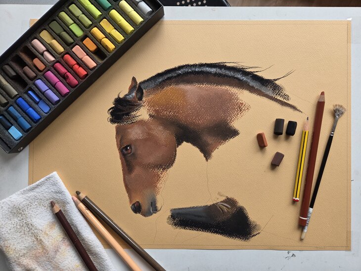 Stages,cours Initiation pastel sec
