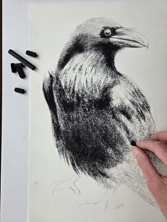 Stages,cours Initiation dessin
