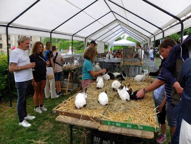 Loisirs Fête petit élevage