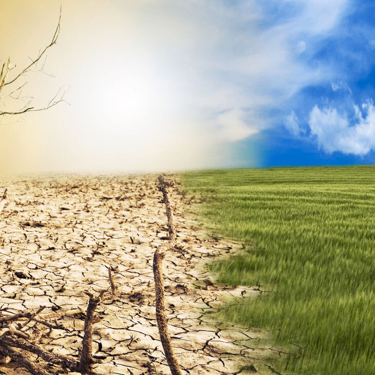Conférences Climat : entre fake news réalité, rétablissons faits 