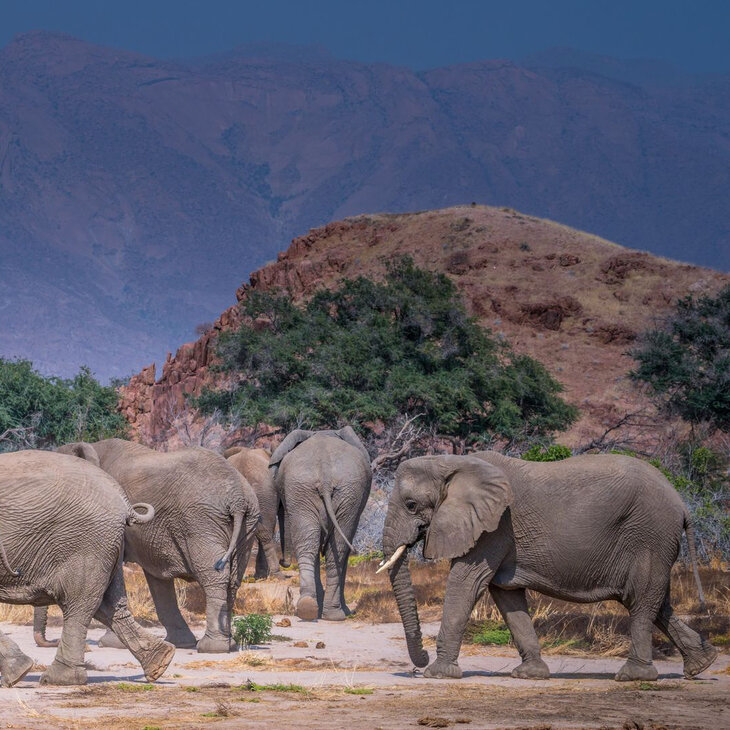 Conférences Exploration monde :  Namibie, exceptionnelle nature 