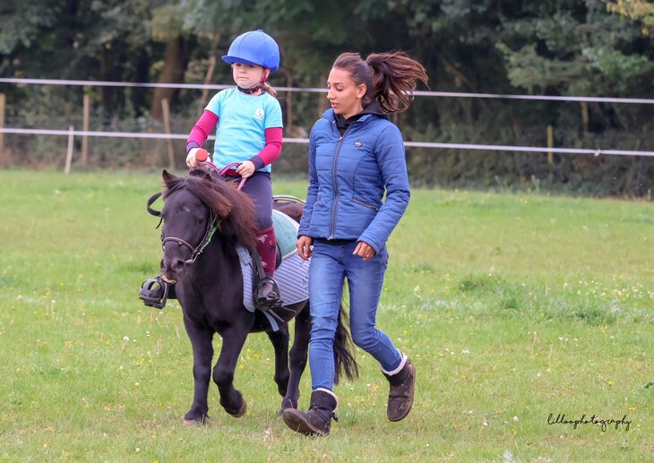Stages,cours Stages d Eté poney club