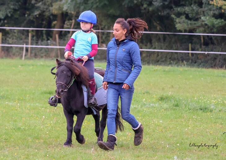Stages,cours Stages d Eté poney club