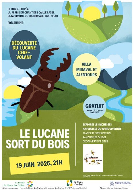 Loisirs Le lucane cerf-volant sort bois dans cités-jardins Logis-Floréal