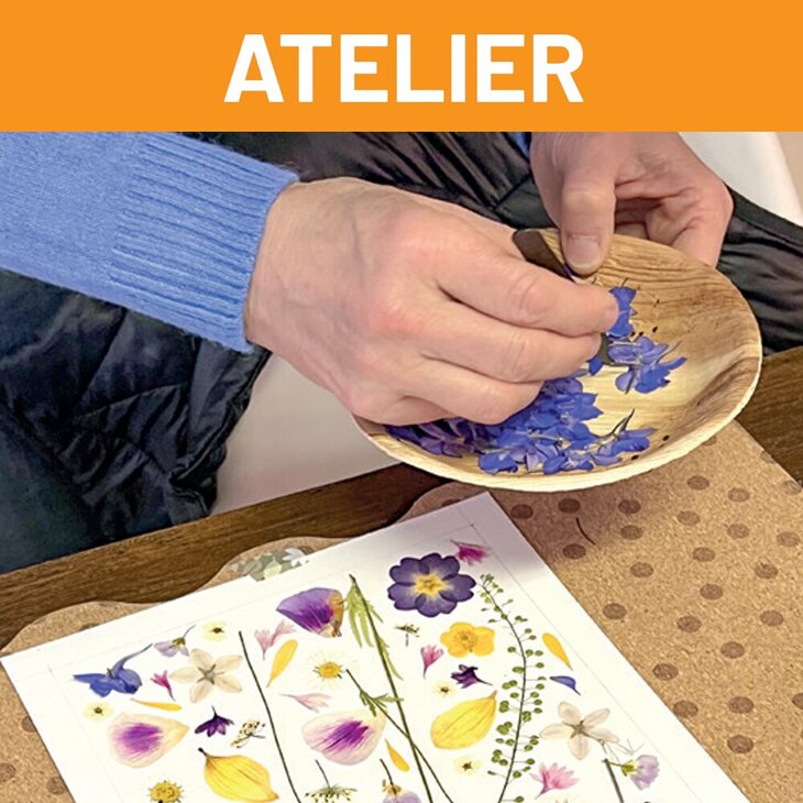 Stages,cours Atelier Herbier floral