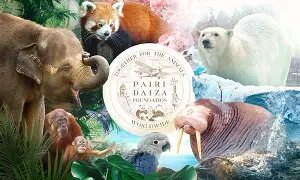 Loisirs Journée Pairi Daiza Edenya