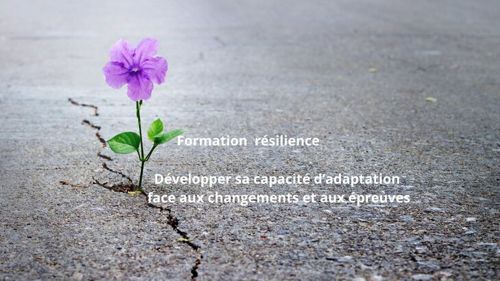 Stages,cours Atelier Développer capacité d’adaptation face changements aux épreuves