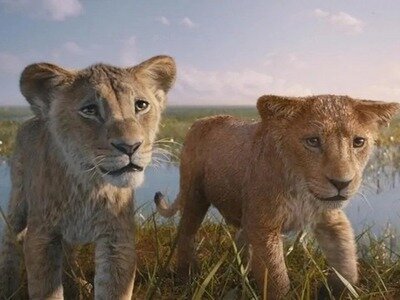 Spectacles Cinéma plein - Mufasa : Roi Lion Barry Jenkins