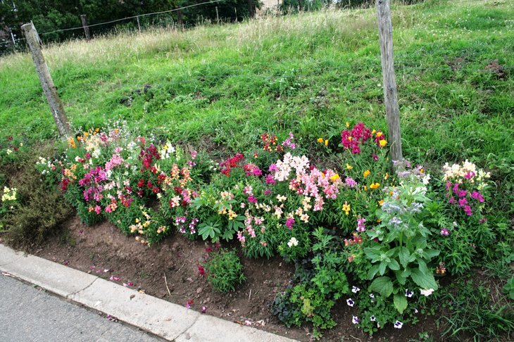 Loisirs Balade découverte jardin, petits déjeuner Bbq