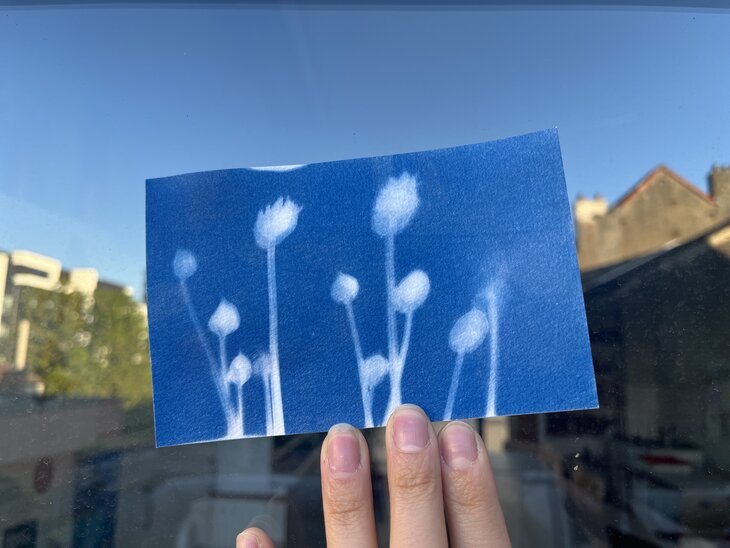 Stages,cours Atelier découverte cyanotype
