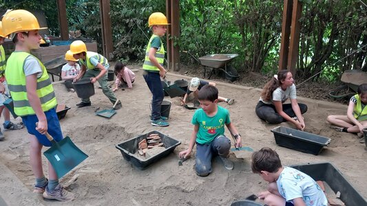 Stages,cours Stage  Archéologues herbe 