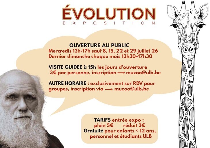 Expositions Visite guidée pour petits grands : exposition Évolution