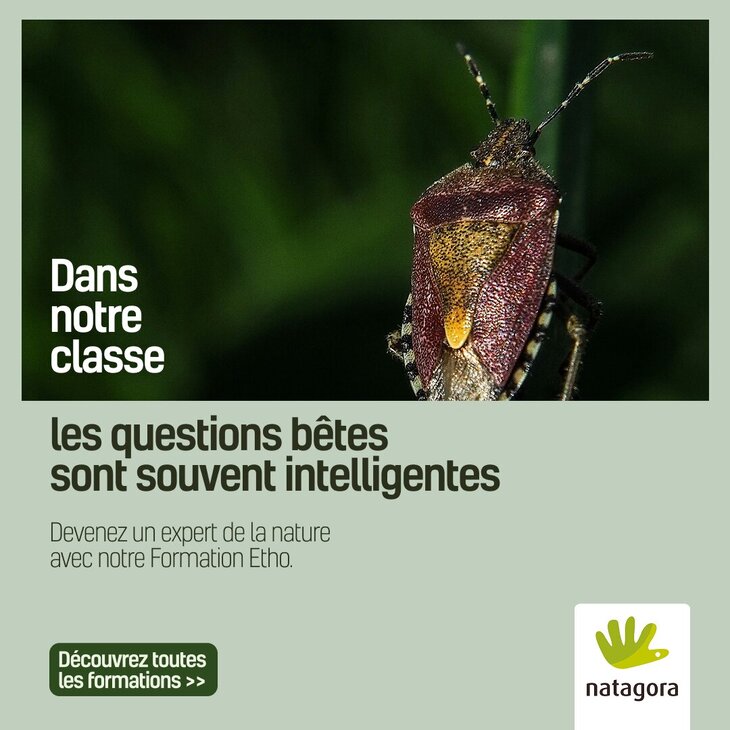 Stages,cours Formations naturalistes pour adultes l éthologie