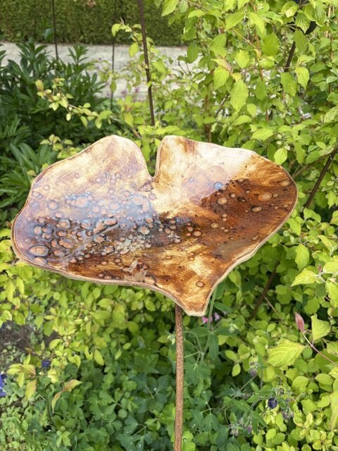 Expositions Visite jardin Artrizia