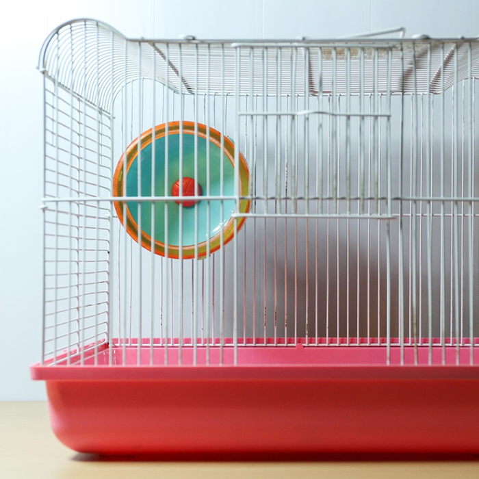 Spectacles Le Journal d Edward, hamster nihiliste (1990-1990)
