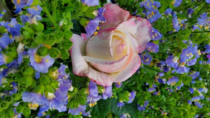 Loisirs Ouverture jardin clé temps 2 jours supplémentaires