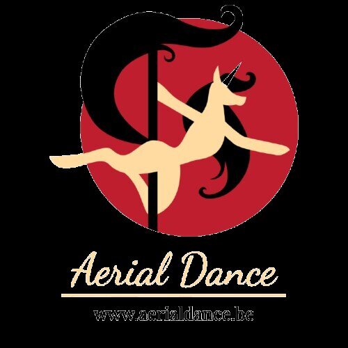Stages,cours Pole Dance Débutant