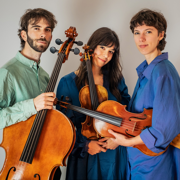 Concerts Ensemble Satellite
