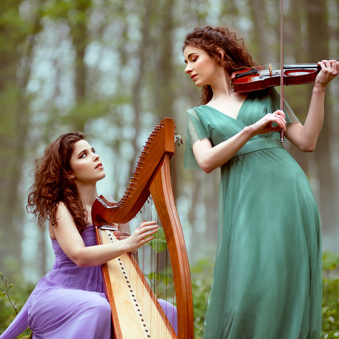 Concerts Dans forêt enchantée