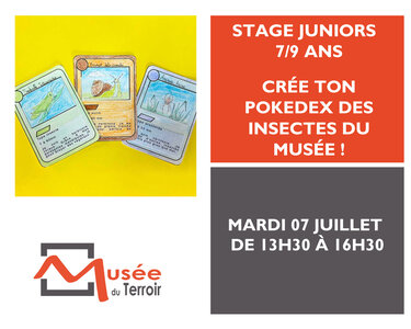 Stages,cours Stage Junior ans : crée Pokedex insectes musée !