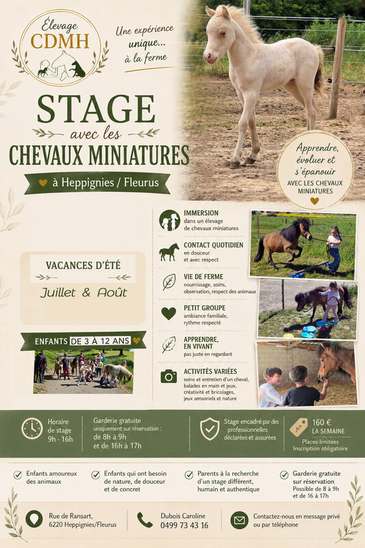 Stages,cours Stage avec chevaux miniatures