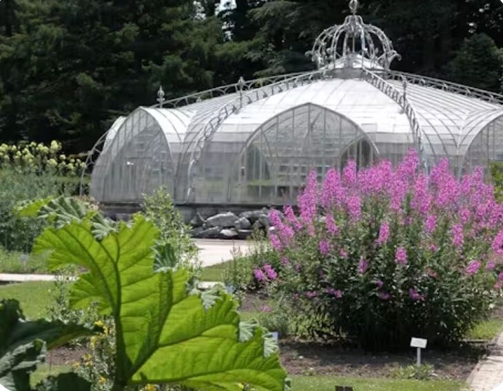 Loisirs Balade Cueillette Jardin botanique Meise
